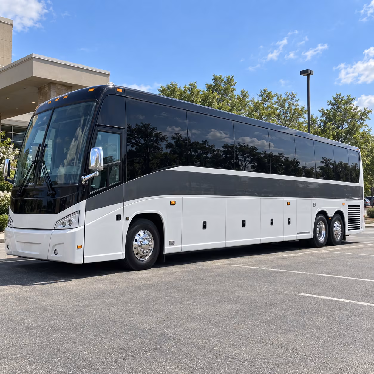 56 passenger charter bus